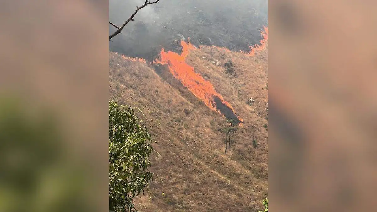 Incendios en Tepic